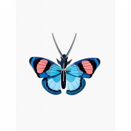 Papillon Paon